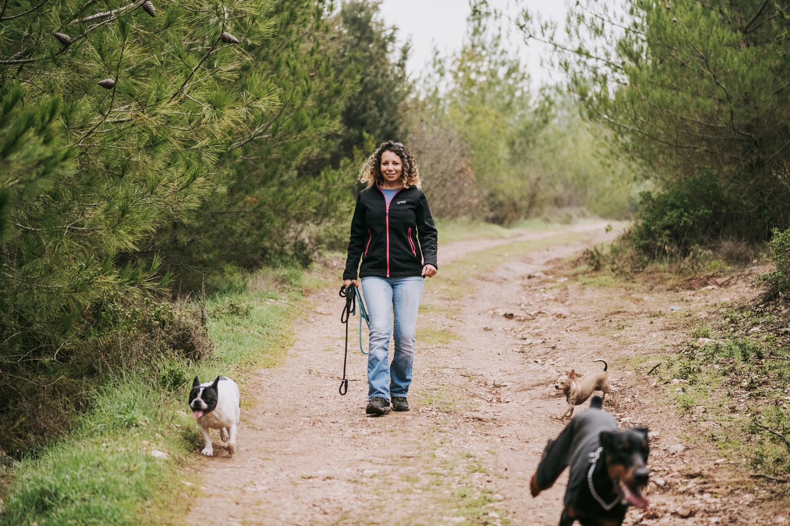 Happy dog enjoying premium daycare service at Wimbledon Common South West London